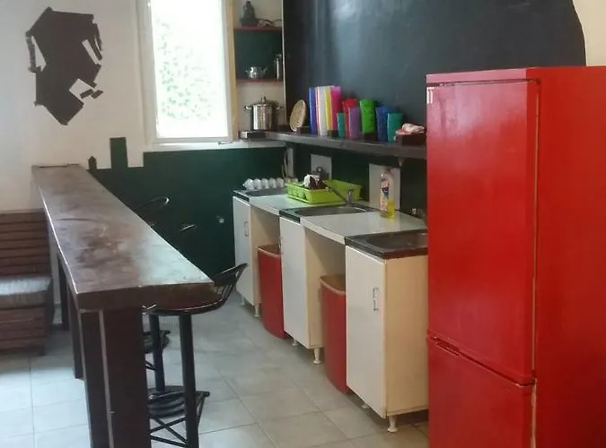 Yolo بيت شباب *